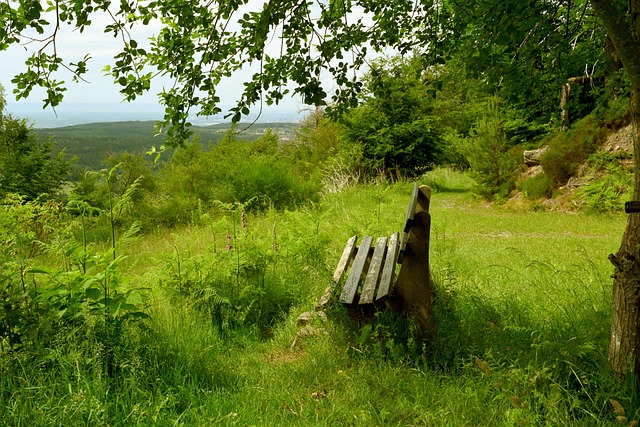 英超荣誉时 英超荣誉时