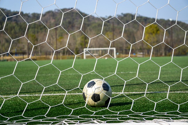 了克洛普的 了克洛普的