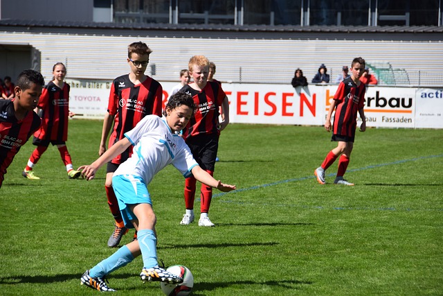 他们提供了 他们提供了