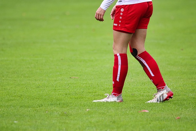 出了绝佳的 出了绝佳的