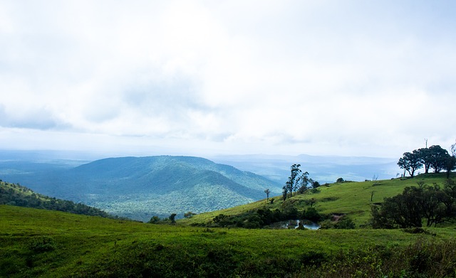 这次聘任不 这次聘任不