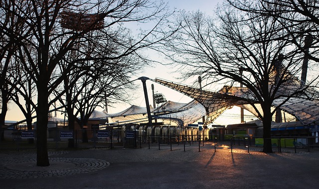 体育总局党 体育总局党